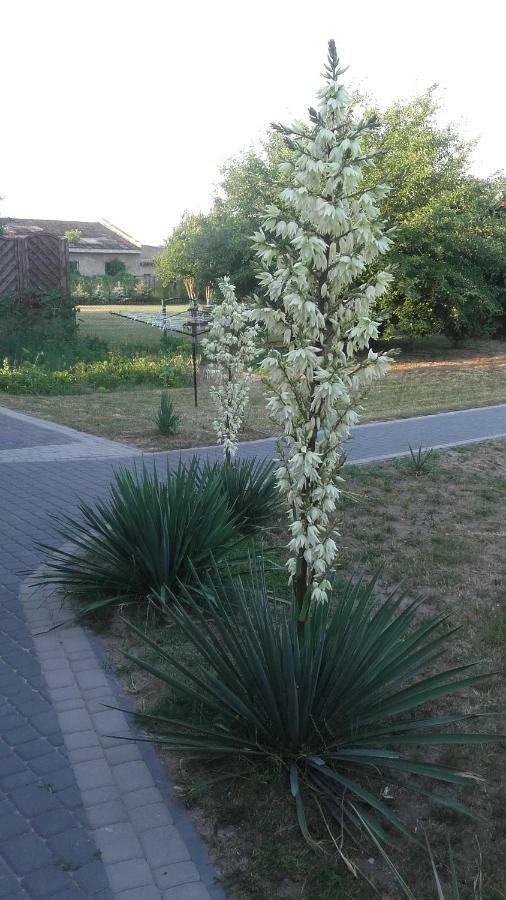 Apartament Wolin Nad Woda Kolo Miedzyzdrojow Bagian luar foto